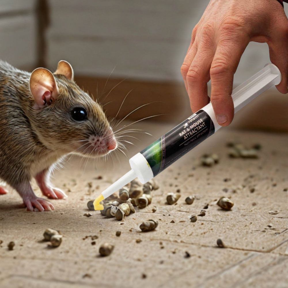 Attractif alimentaire Rotech non-toxique pour rats et souris