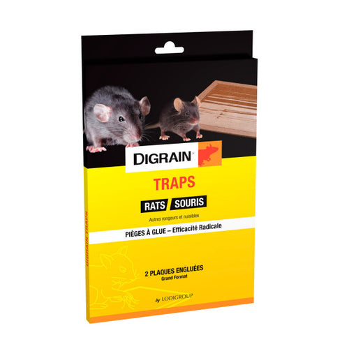 Digrain Traps - pièges à glue